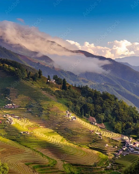 Living Bridges & Wildlife